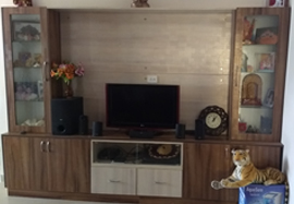 TV Unit